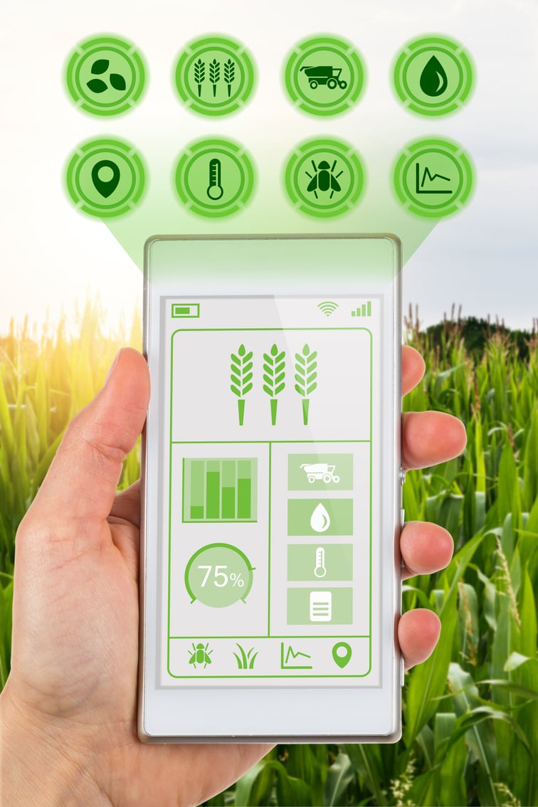 Concept for agritech farmer accessing agricultural app